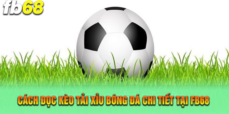 Hướng dẫn đọc kèo tải xỉu bóng đá chuẩn tại FB68